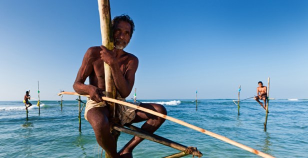 Standard Post with Gallery