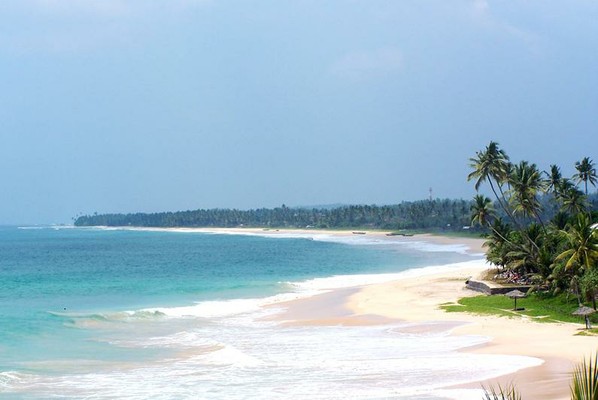 Standard Post with Gallery