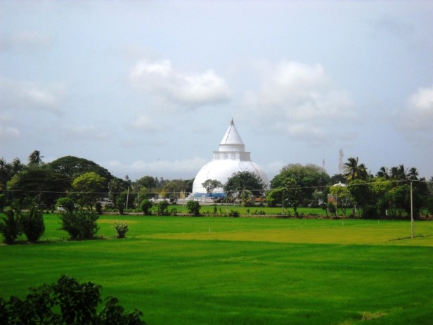 Standard Post with Gallery